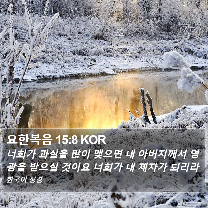 요한복음 15:8 KOR Bible Study