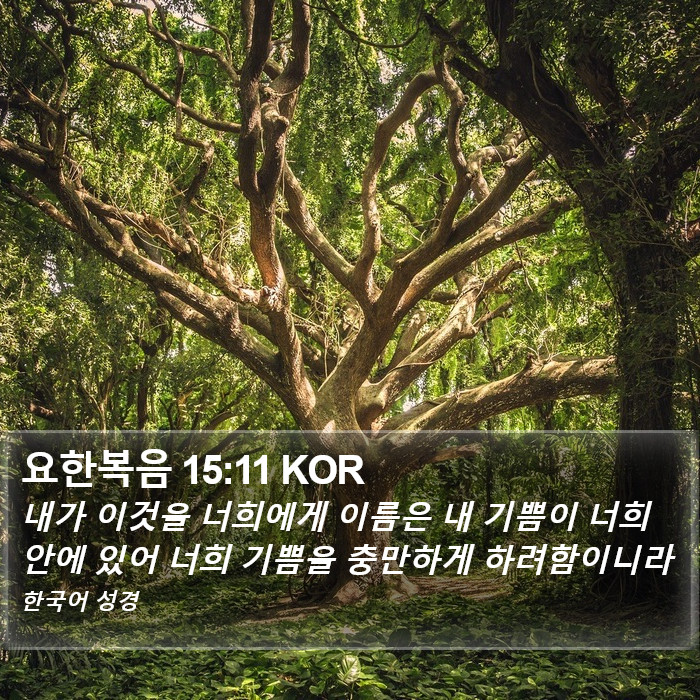 요한복음 15:11 KOR Bible Study