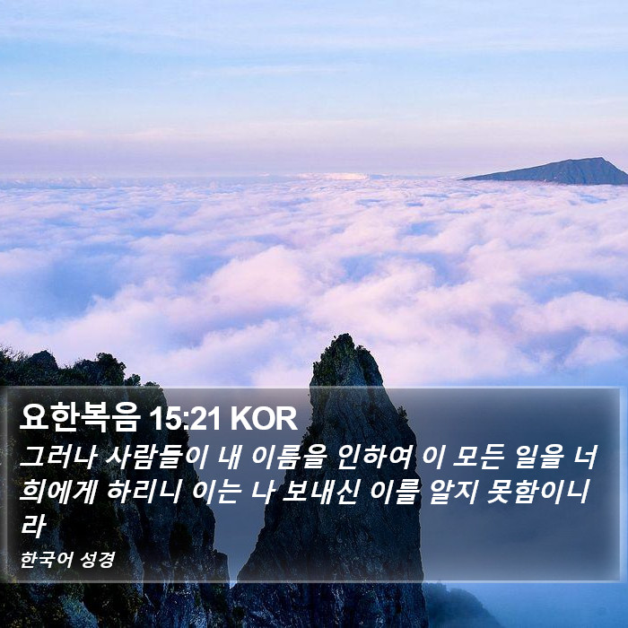 요한복음 15:21 KOR Bible Study