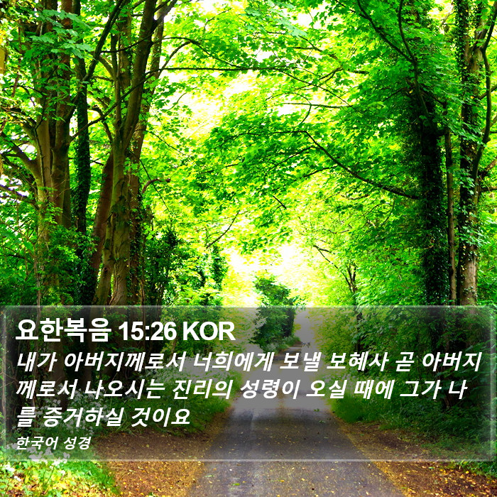 요한복음 15:26 KOR Bible Study