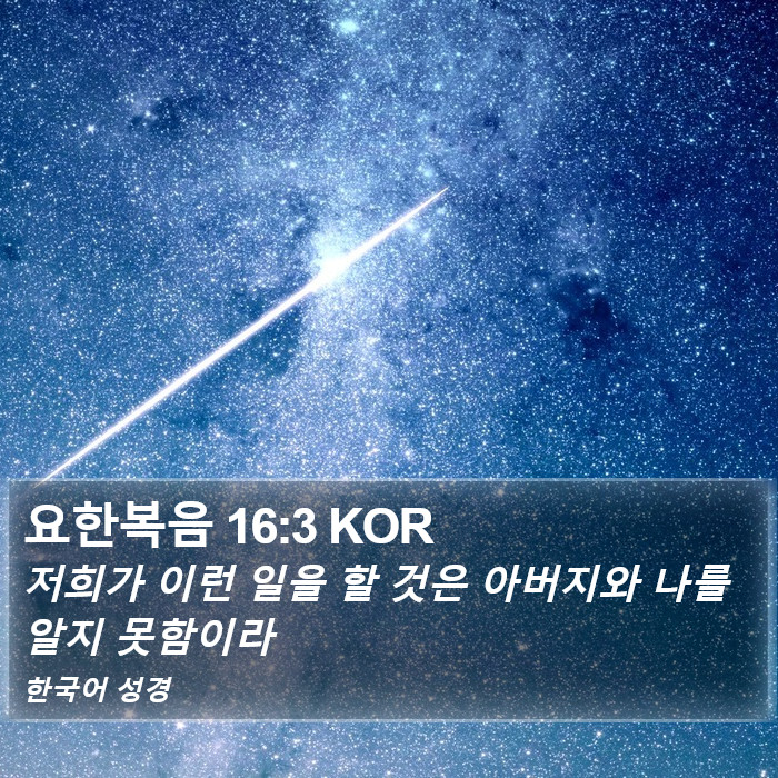 요한복음 16:3 KOR Bible Study