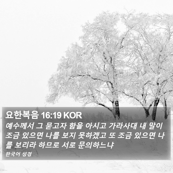 요한복음 16:19 KOR Bible Study