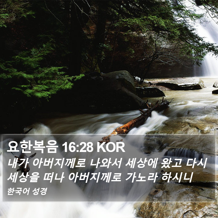 요한복음 16:28 KOR Bible Study
