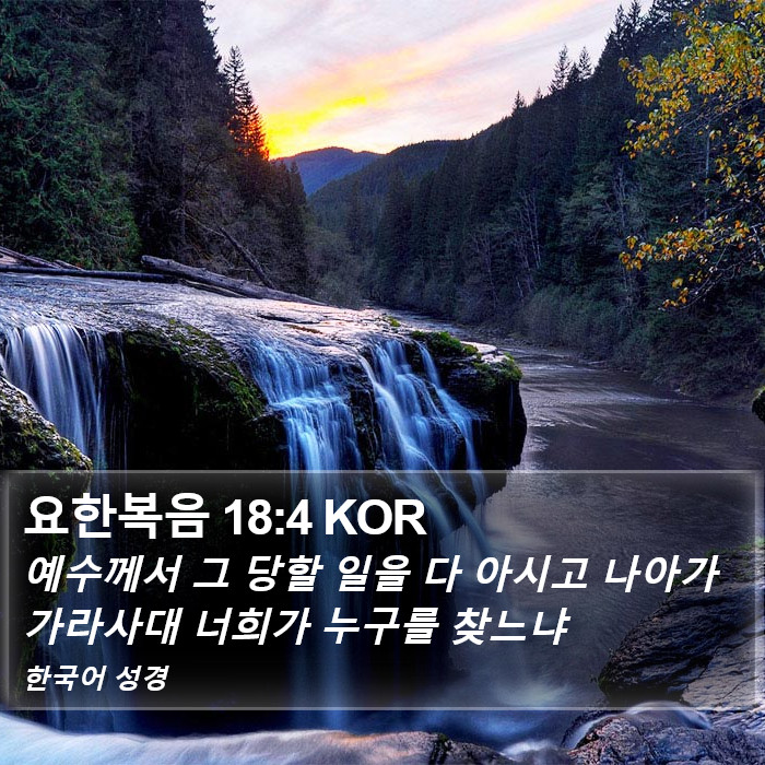 요한복음 18:4 KOR Bible Study