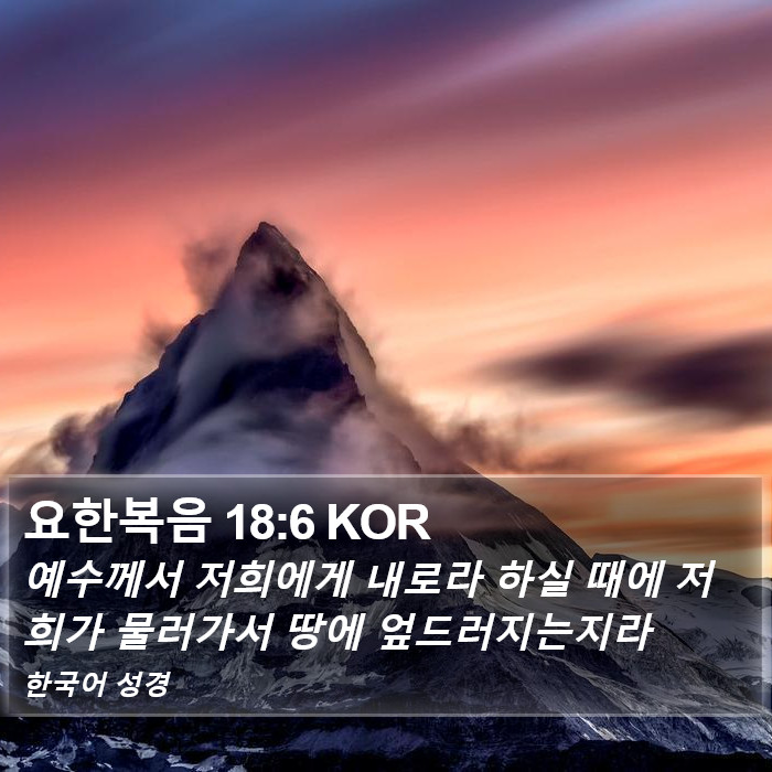 요한복음 18:6 KOR Bible Study