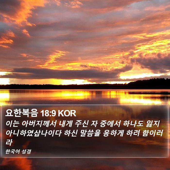 요한복음 18:9 KOR Bible Study