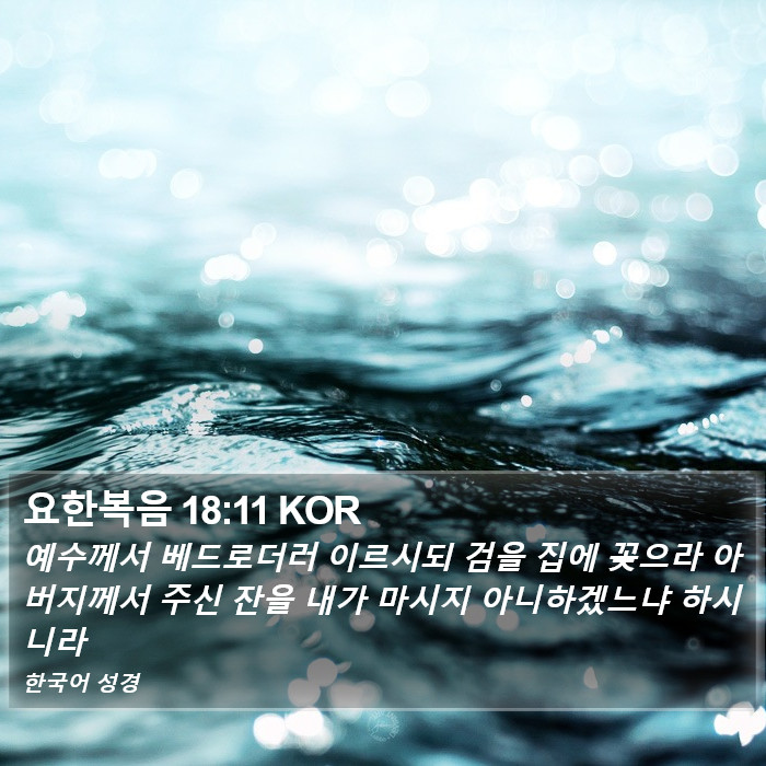 요한복음 18:11 KOR Bible Study