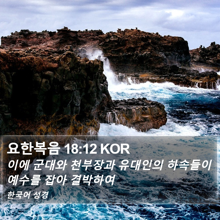 요한복음 18:12 KOR Bible Study