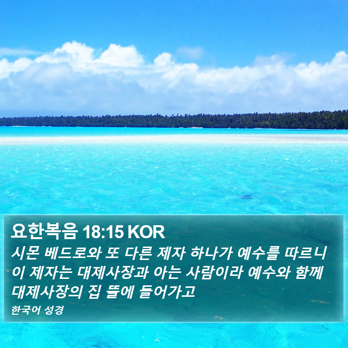 요한복음 18:15 KOR Bible Study