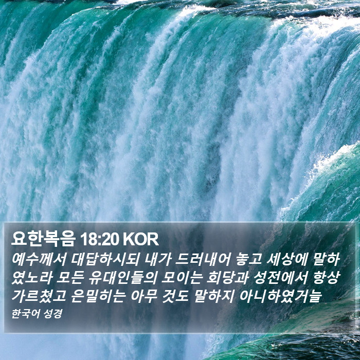 요한복음 18:20 KOR Bible Study