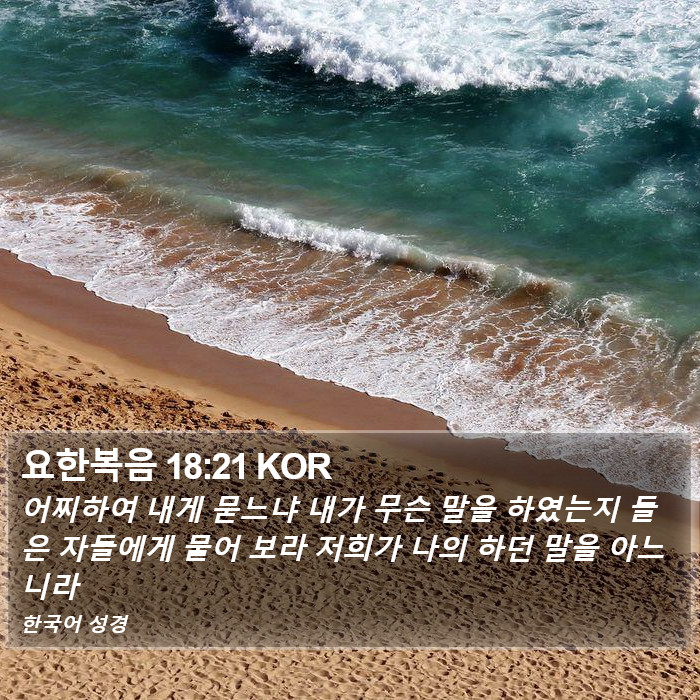 요한복음 18:21 KOR Bible Study