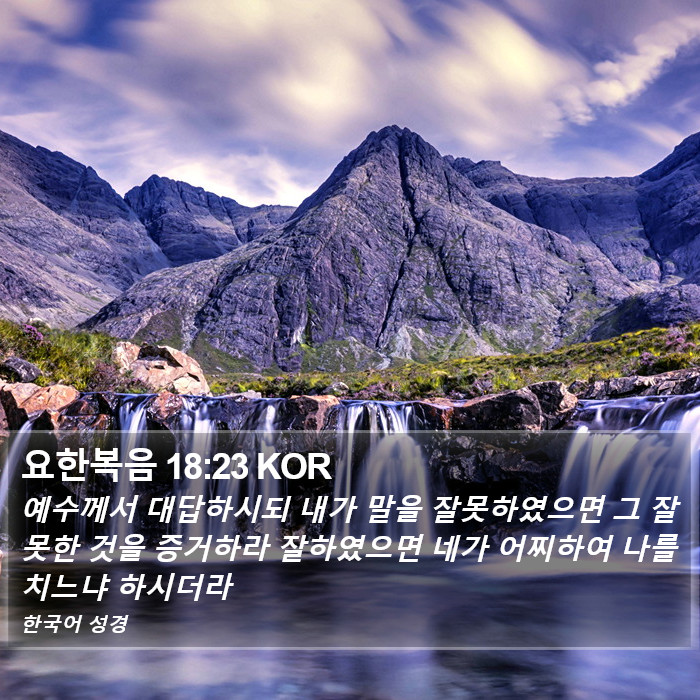 요한복음 18:23 KOR Bible Study