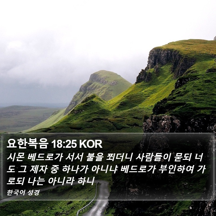 요한복음 18:25 KOR Bible Study