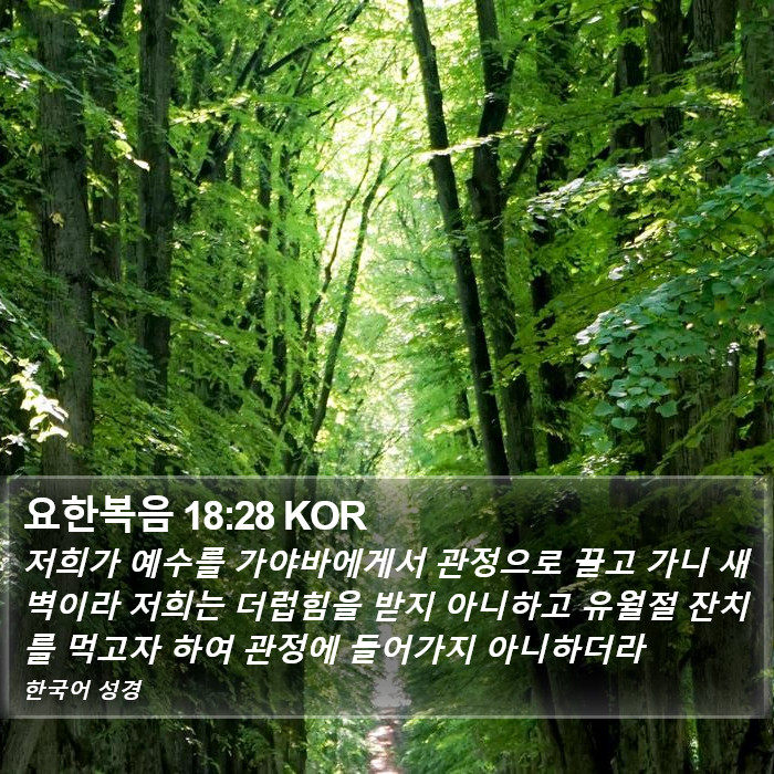 요한복음 18:28 KOR Bible Study