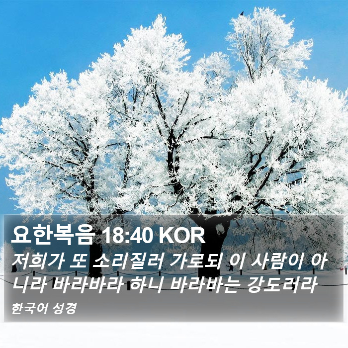 요한복음 18:40 KOR Bible Study