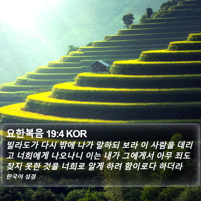 요한복음 19:4 KOR Bible Study