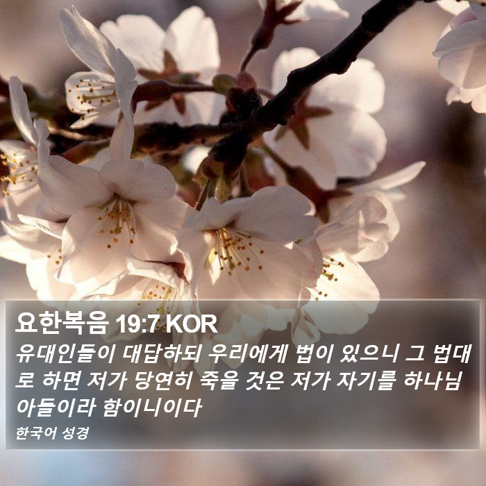 요한복음 19:7 KOR Bible Study