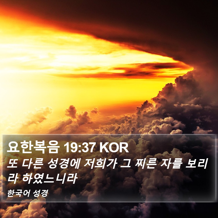 요한복음 19:37 KOR Bible Study