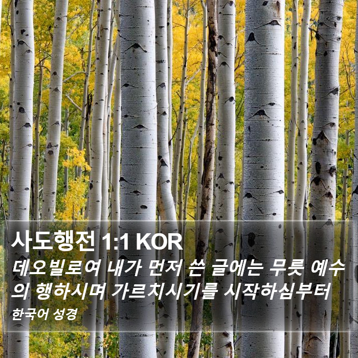 사도행전 1:1 KOR Bible Study