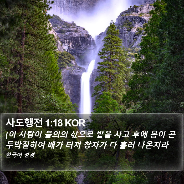 사도행전 1:18 KOR Bible Study