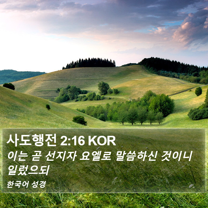 사도행전 2:16 KOR Bible Study