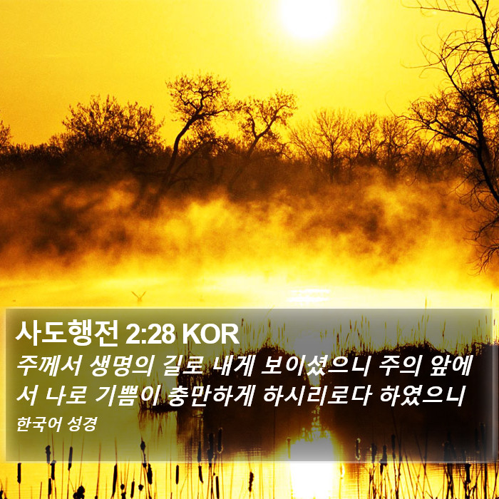 사도행전 2:28 KOR Bible Study