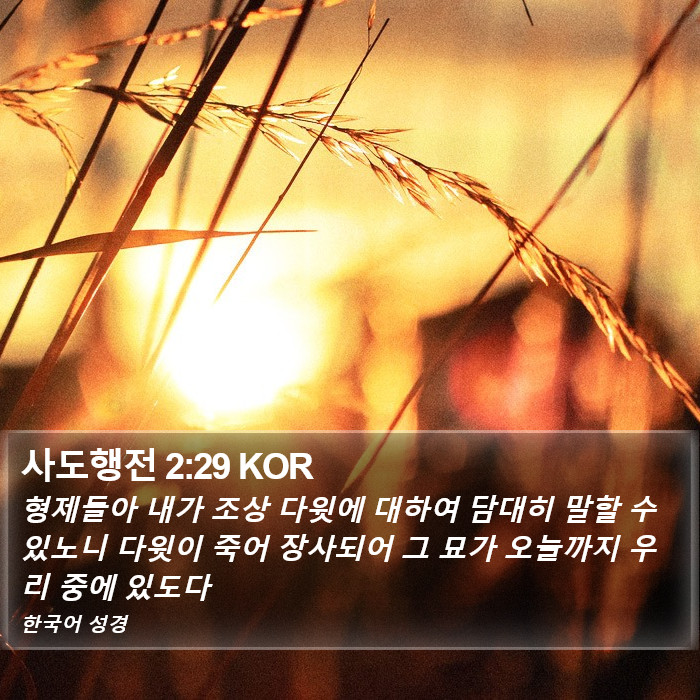 사도행전 2:29 KOR Bible Study