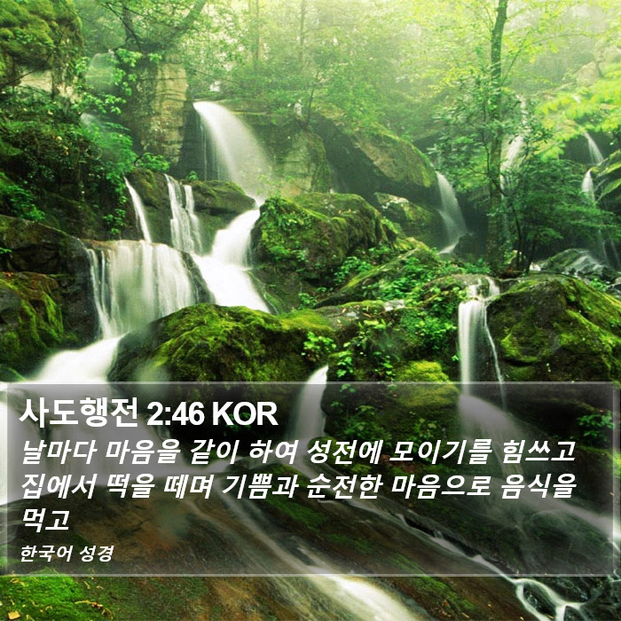 사도행전 2:46 KOR Bible Study