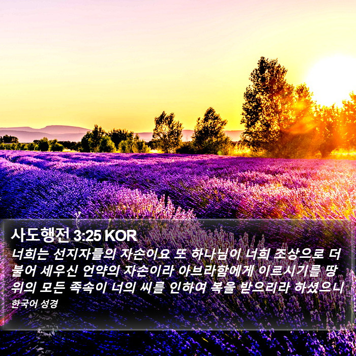 사도행전 3:25 KOR Bible Study