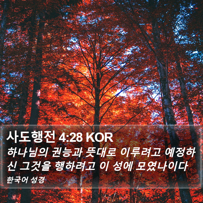 사도행전 4:28 KOR Bible Study