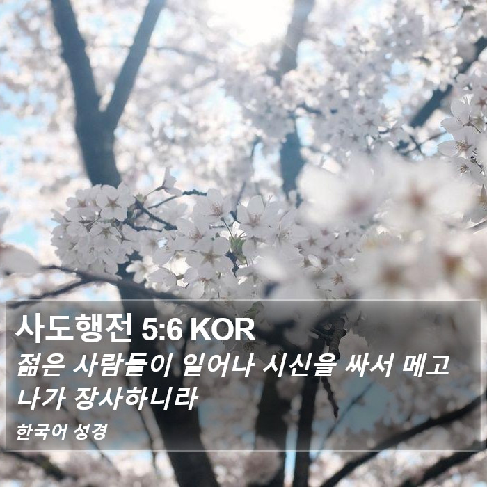 사도행전 5:6 KOR Bible Study