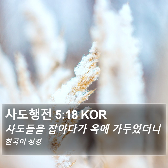 사도행전 5:18 KOR Bible Study