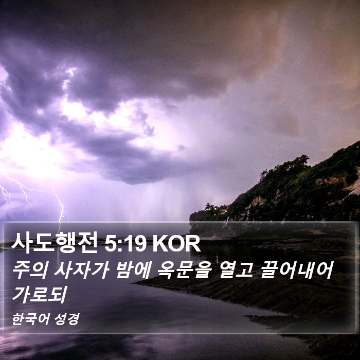 사도행전 5:19 KOR Bible Study