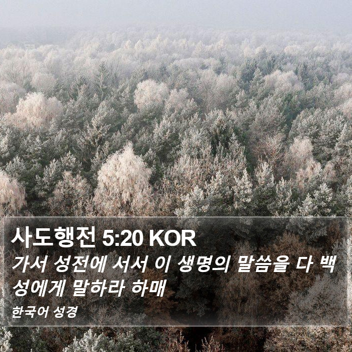 사도행전 5:20 KOR Bible Study