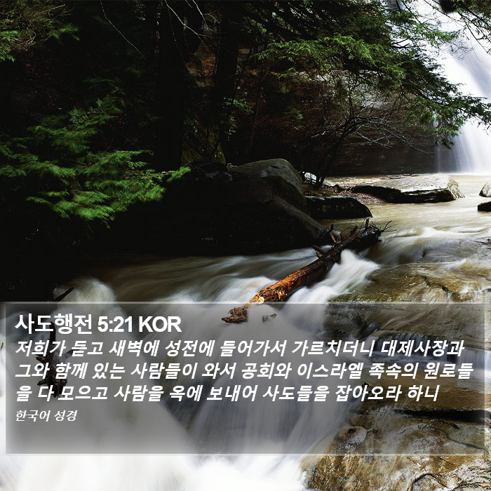 사도행전 5:21 KOR Bible Study