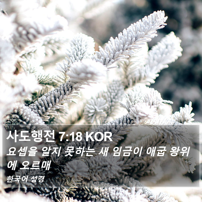 사도행전 7:18 KOR Bible Study
