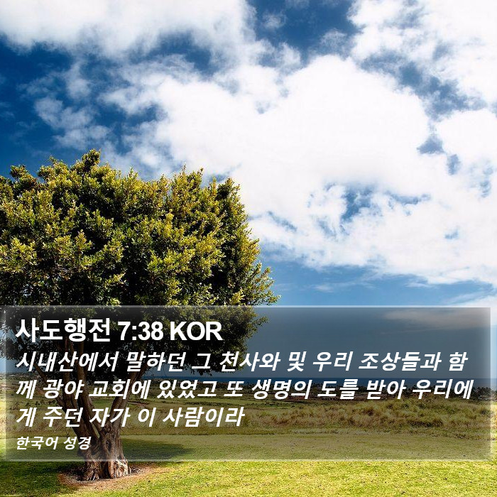 사도행전 7:38 KOR Bible Study