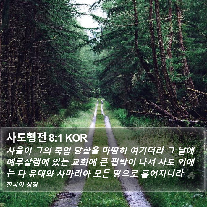 사도행전 8:1 KOR Bible Study