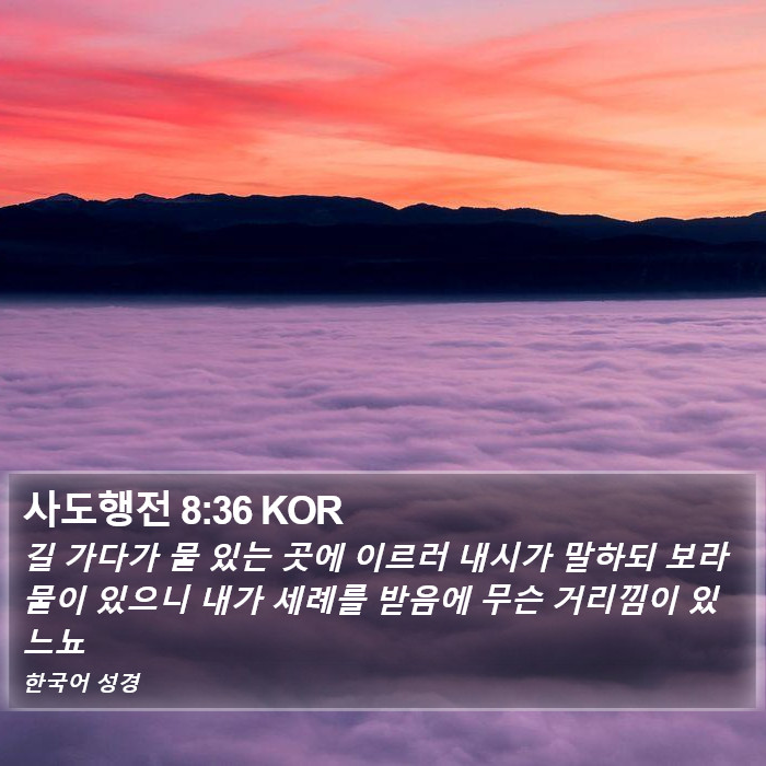 사도행전 8:36 KOR Bible Study