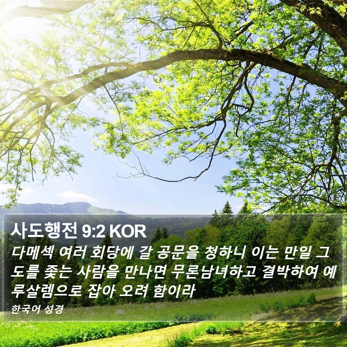 사도행전 9:2 KOR Bible Study