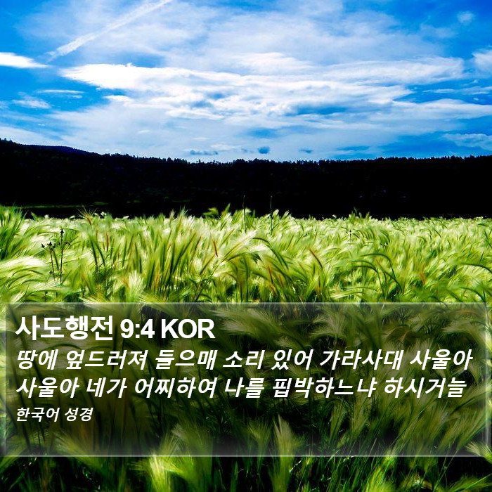 사도행전 9:4 KOR Bible Study