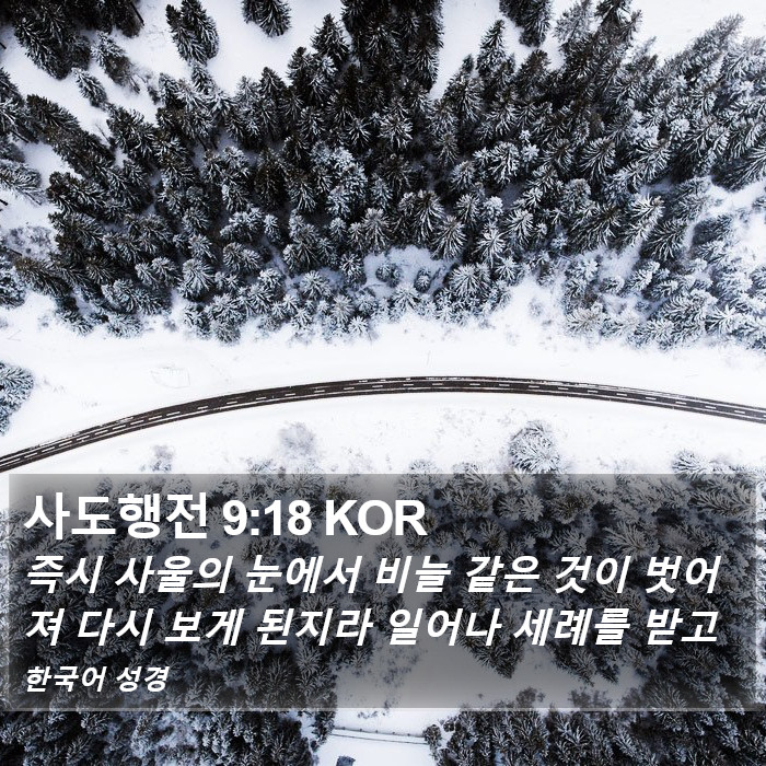 사도행전 9:18 KOR Bible Study