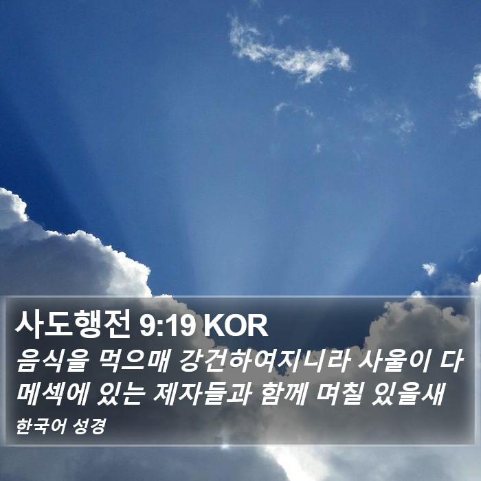 사도행전 9:19 KOR Bible Study