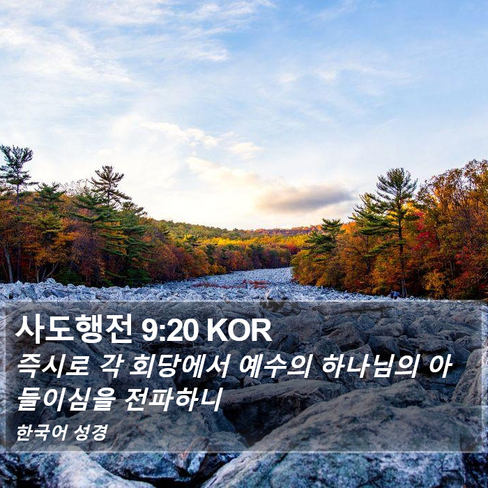 사도행전 9:20 KOR Bible Study