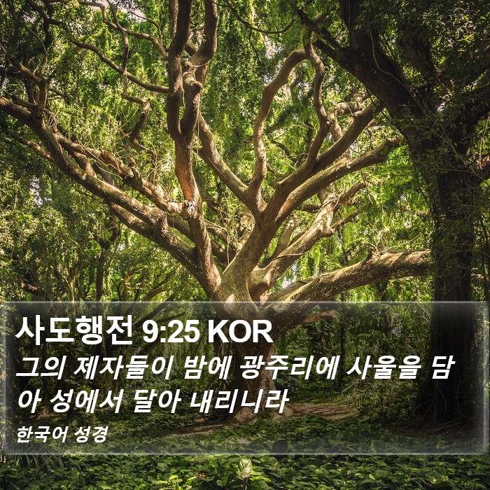 사도행전 9:25 KOR Bible Study