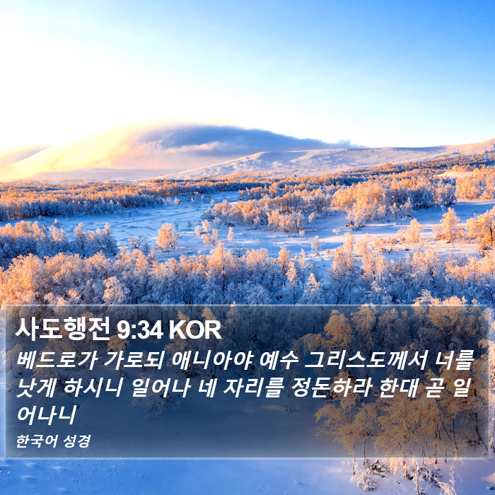 사도행전 9:34 KOR Bible Study