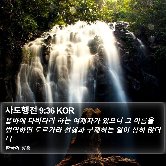 사도행전 9:36 KOR Bible Study