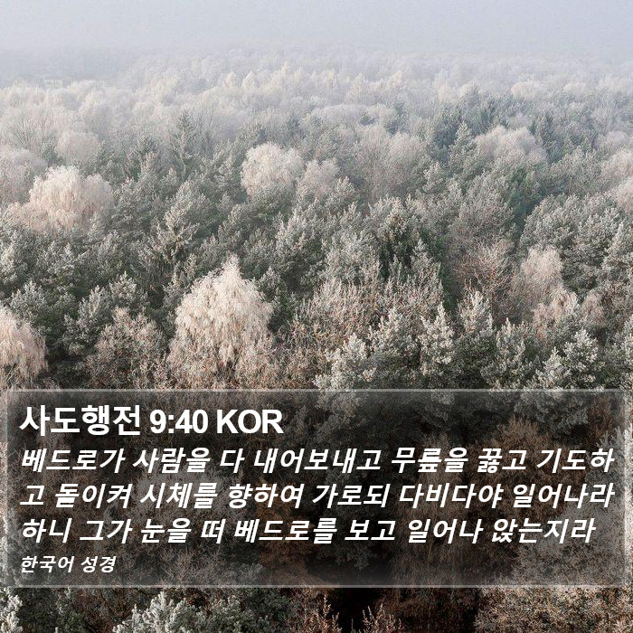 사도행전 9:40 KOR Bible Study