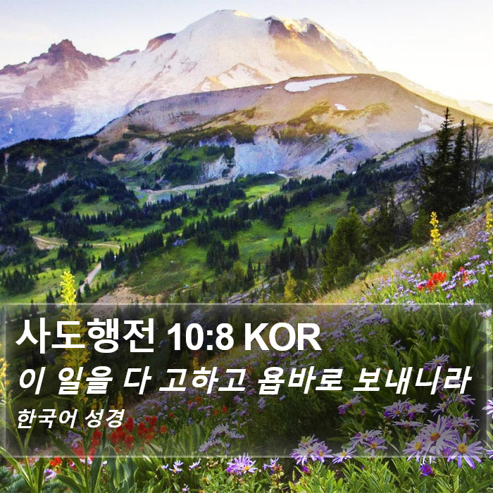 사도행전 10:8 KOR Bible Study