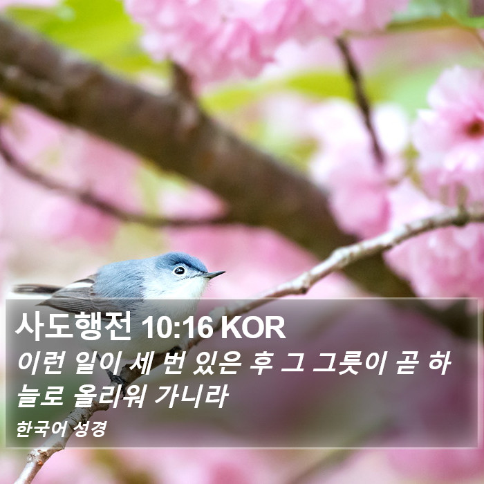 사도행전 10:16 KOR Bible Study